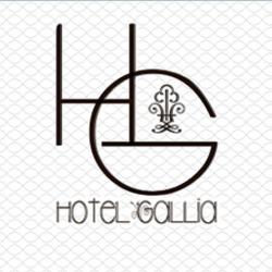 Hôtel Gallia Grenoble