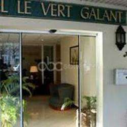 Hotel Le Vert-galant Villepinte