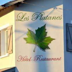 Hôtel et autre hébergement Hôtel Restaurant Les Platanes - 1 - 
