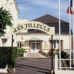 Hôtel et autre hébergement Hôtel-Restaurant Les Tilleuls - 1 - 