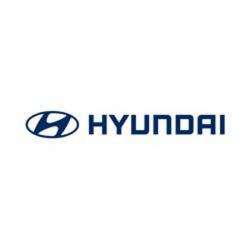 Hyundai Bourges