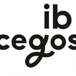 Ib Cegos Formation Informatique Aix-en-provence Aix En Provence