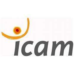 Cours et formations Icam - 1 - 
