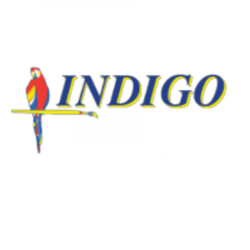 Peintre Indigo - 1 - 