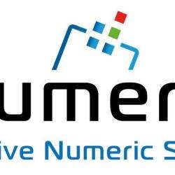 Innovative Numeric Solutions