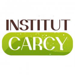 Institut Carcy Toulouse