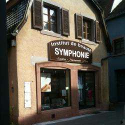 Institut Symphonie