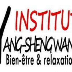 Institut Yang Sheng Wang Nantes