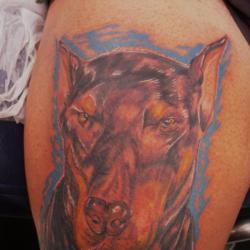Intraderm'ink Tattoo Studio Castres
