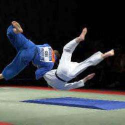 Ippon Bellerive Judo Jujitsu Bellerive Sur Allier