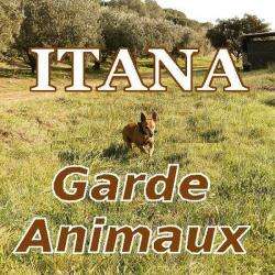 Garde d'animaux et Refuge Itana Garde Animaux - 1 - 