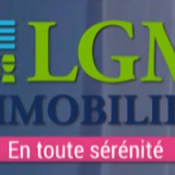 Diagnostic immobilier J-Michel PEREIRA - Conseiller Immobilier - LGM Immobilier - Foix - 1 - 