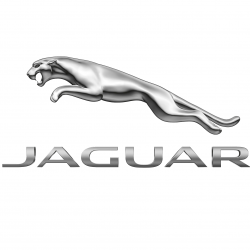 Jaguar Metz (technic Auto) Metz
