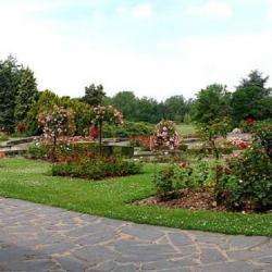 Parcs et Activités de loisirs Jardin Des Plantes - 1 - 