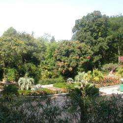 Parcs et Activités de loisirs Jardin Des Plantes - 1 - 