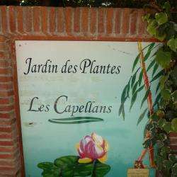 Jardin Des Plantes Saint Cyprien