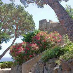 Jardin Romieu Bastia