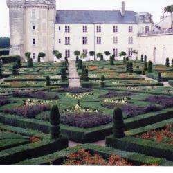 Jardins Du Château De Villandry Villandry