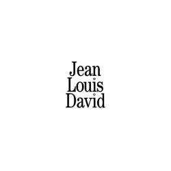 Jean Louis David Abbeville