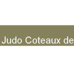 Judo Coteaux De Save Pelleport