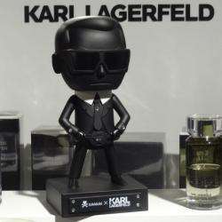Karl Lagerfeld  Paris