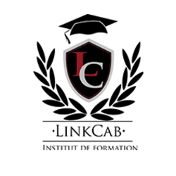 Etablissement scolaire L' Institut Linkcab Et Formation Vtc - 1 - 