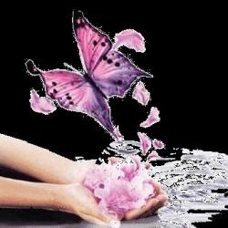 Massage L'Aile du Papillon - 1 - Un Moment De Détente Hors Du Temps
Pour Elle & Lui - 