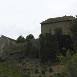 L'armoise Chateau De Jaulny Jaulny