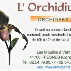 L'orchidium Fresnes