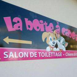 Salon de toilettage La Boite à Cabots - 1 - 