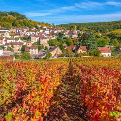 La Bourgogne Dijon