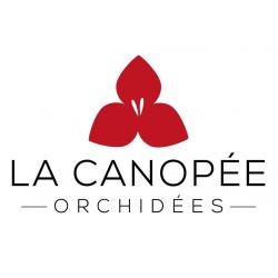 La Canopée Orchidées Plougastel Daoulas