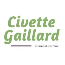 Tabac et cigarette électronique La Civette Gaillard - 1 - Logo - 