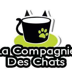 Salon de thé et café La Compagnie Des Chats - 1 - 