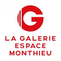 La Galerie - Espace Monthieu Saint Etienne