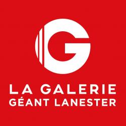 Centres commerciaux et grands magasins La Galerie - Géant Lanester - 1 - 