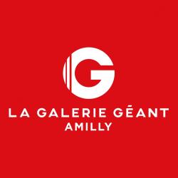 La Galerie Géant - Amilly