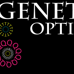 Opticien La Genette Optique - 1 - 