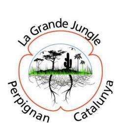 Jardinerie La Grande Jungle - 1 - 