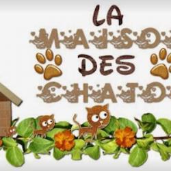 Crèche et Garderie La Maison des Chatons Perroncel - 1 - 