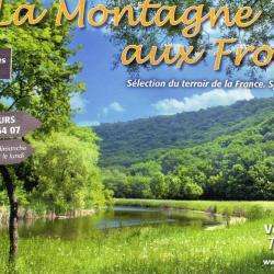 Fromagerie LA MONTAGNE AUX FROMAGES - 1 - 