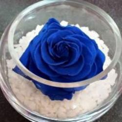 Fleuriste La Rose Bleue - 1 - 