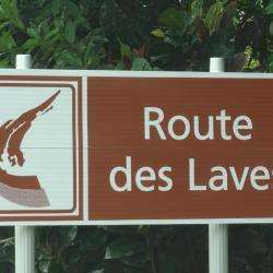La Route Des Laves Saint Philippe