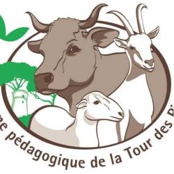 Fromagerie La Tour des Pins - 1 - 