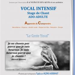 Autre LA VOIX ET LES ARTS et ses artistes - 1 - Stage Chant Mai 2018 Var - 