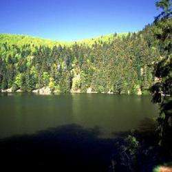 Site touristique Lac Vert - 1 - 