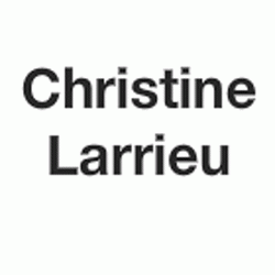 Infirmier et Service de Soin Larrieu Christine - 1 - 
