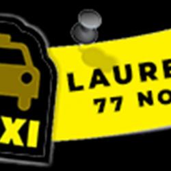 Taxi Laurent, taxi dans le 77 - 1 - 