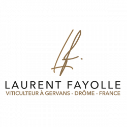 Centres commerciaux et grands magasins Laurent Fayolle - 1 - 