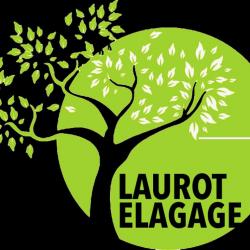 Laurot, élagage Pro Dans Le 77 Savigny Le Temple